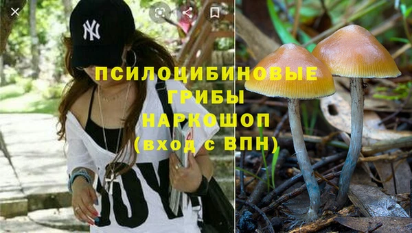 2c-b Алзамай
