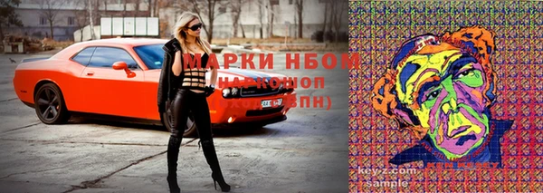2c-b Алзамай